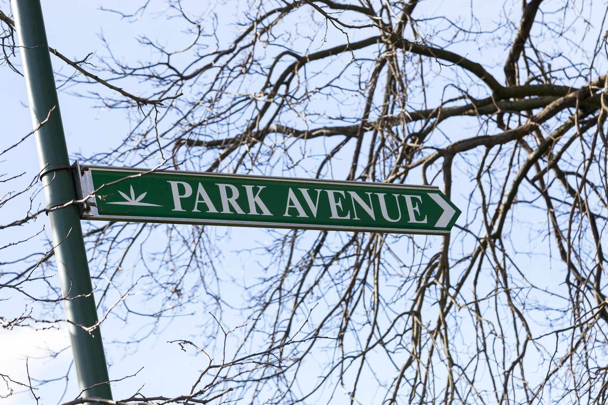 Bend of Islands Park Avenue - Forest Hill מראה חיצוני תמונה